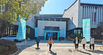 大黃蜂展覽助力廣東林博會(huì)